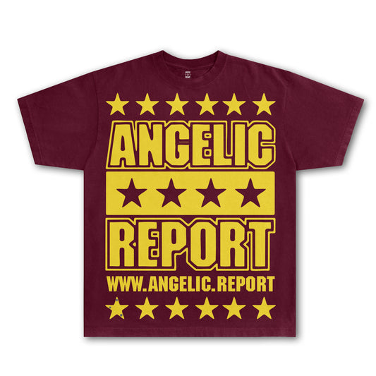 Online Piracy Tee - Burgundy